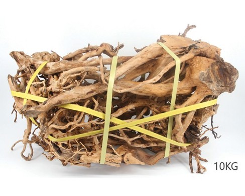 魚缸裝飾-杜鵑跟